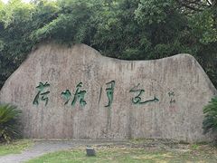 -荷塘月色湿地公园·向阳花洲