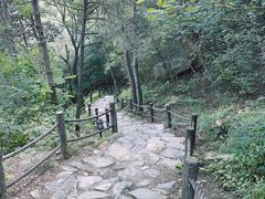 -阳台山自然风景区