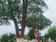 -丝绸小镇荻港古村