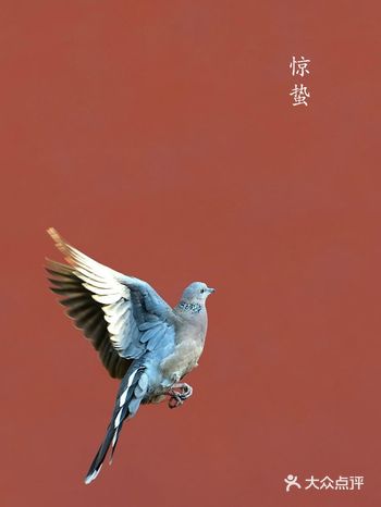 微雨众卉新，一雷惊蛰始