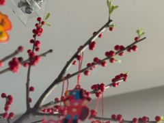 -天然台1908(中建广场店)