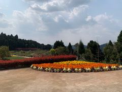 -中国香山·寿香谷