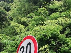 -梧桐山风景名胜区