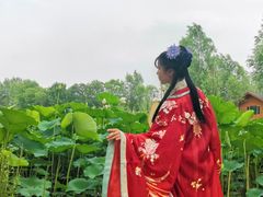 -东郊湿地公园