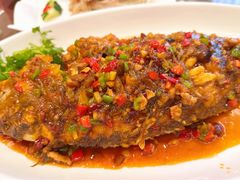 干烧加吉鱼-津城食府(大理道店)
