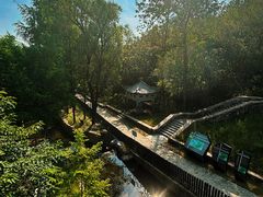 -白水寺森林公园