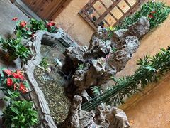 -老萍巷•莲花血鸭(楚萍店)