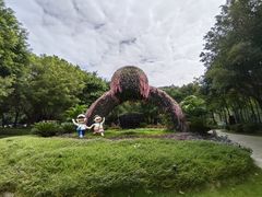 -王借岗森林公园