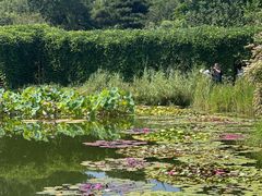 -国家植物园南园