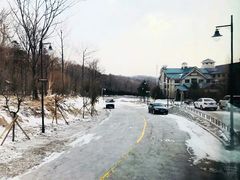-亚布力新体委滑雪场