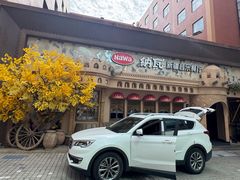 -纳瓦新疆菜(银都店)