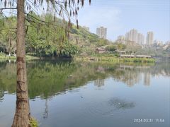 -重庆彩云湖湿地公园