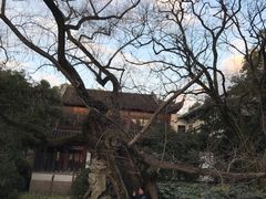-汇龙潭