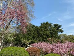 -村理·乡村菜音乐餐厅(河西店)