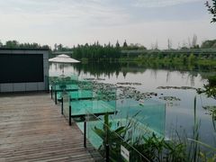 -白鹭湾湿地公园