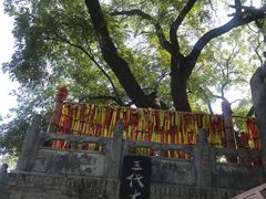 -大槐树寻根祭祖园