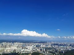 -长虫山生态公园风景林