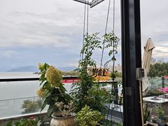 -野菌皇海景野生菌火锅(滨海大道店)