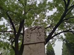 -赵州桥景区