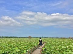 -漩门湾国家湿地公园