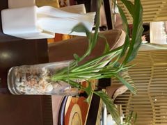 -博悦茶餐厅(文殊院店)
