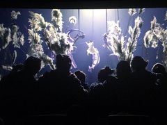 -华夏太古巨幕影城(贺龙广场店)