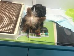 -乐宠宠物店(世纪金源店)