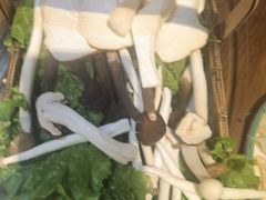 -南门四季铜锅涮肉(左家庄店)