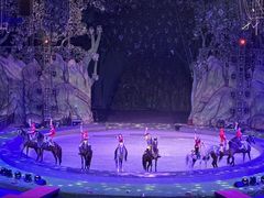 -灵玲国际马戏城