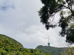 -梧桐山风景名胜区