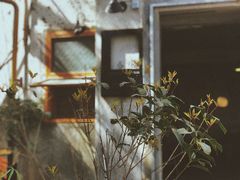 -春庄咖啡SpringHues(钟楼小区店)