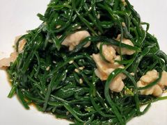 果仁爱沙葱-九十九顶毡房(阜石路店)