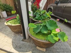 -天津五大道文化旅游区