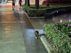 -苏州河梦清园环保主题公园