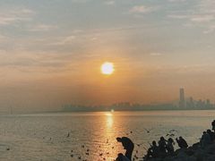 -深圳湾公园(南山区)