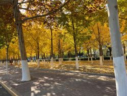 -Oasis Beauty水磨坊科技美肤中心