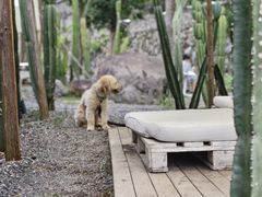 -MOJ coffee(瓯海泽雅水碓坑店)