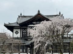 -奈良公园