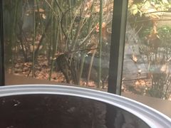 -春晖园度假酒店温泉