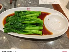 -莱莱小笼·乔艾