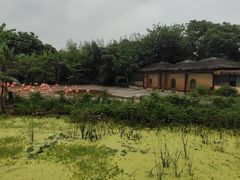 -南昌动物园
