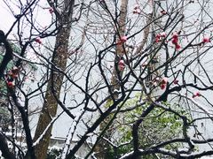 -苏州河梦清园环保主题公园