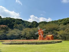 -苏州上方山国家森林公园