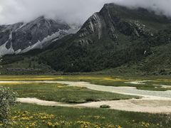-稻城亚丁景区-冲古草甸
