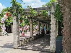 -花溪公园