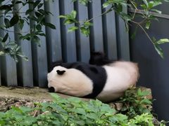 -黔灵山公园