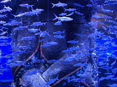 -波塞冬旅游度假区