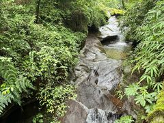 -中国大熊猫保护研究中心雅安碧峰峡基地