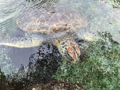 -广州海洋馆
