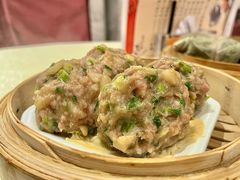 陈皮牛肉球-龙的酒楼·手工早茶·顺德菜(近良路店)